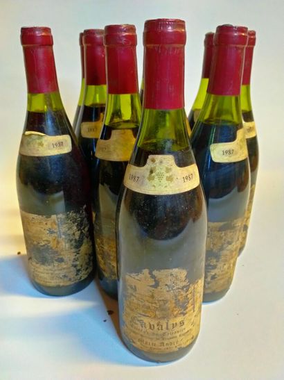  10 bottles Coteaux du Tricastin,CABALY 1987...