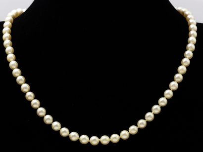 null Necklace made up of a light fall of pearls of culture of approximately 5.6 to...