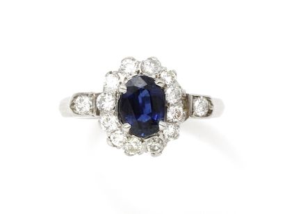 null Ring in white gold 750 thousandths, decorated with an oval faceted sapphire...