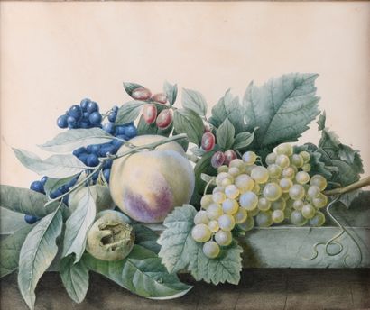 null 
Ecole Lyonnaise Attribué à Antoine BERJON (1754-1843) "Pommes Raisin et airelles"...