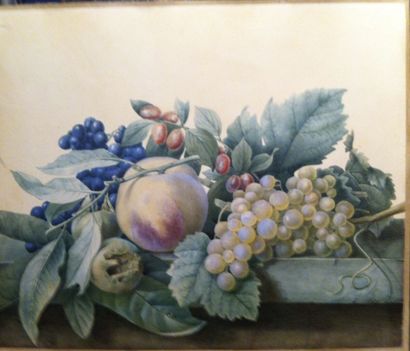 null 
Ecole Lyonnaise Attribué à Antoine BERJON (1754-1843) "Pommes Raisin et airelles"...