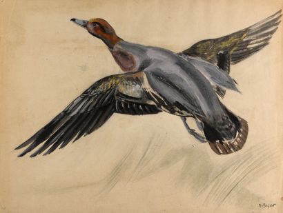 null Raymond BIGOT, "Wild Goose in Flight" watercolor on paper Signed lower right...