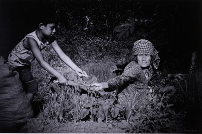 null Nicolas QUENTIN ""Old peasant woman selling her lemon grass" Cambodia, Kampong...