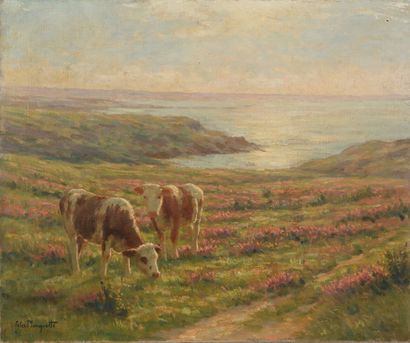 null Félix PLANQUETTE 1873-1964 "Cows by the sea" HST, SBG, 46x55cm (small hole in...