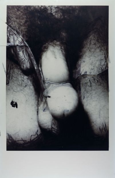 null Philippe PASQUA 1965 "Untitled" Photographic print on aluminum, 183x118cm, Confirmation...
