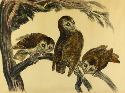 null R.BIGOT 1872-1953 "The owls" watercolor on paper, signed lower right