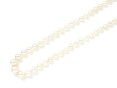  Collier composé d'une chute de perles de culture d'environ 3.7 à 8.4 mm. Il est...