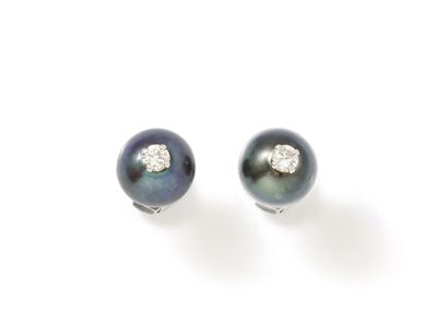 null Pair of ear studs in white gold 750 thousandths, decorated with gray cultured...