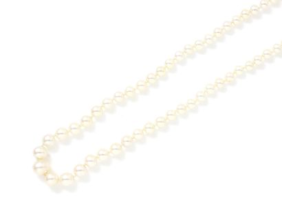  Collier composé d'une chute de perles de culture d'environ 3.2 à 6.9 mm. Il est...