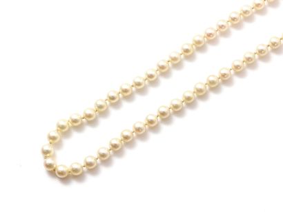 null Necklace made up of a fall of probably fine pearls of slightly button shape...