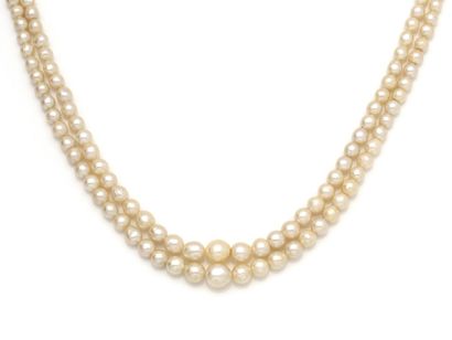 null Necklace composed of 2 rows of cultured pearls slightly baroque about 2.5 to...