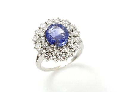 null Ring in white gold 750 thousandths, decorated with a faceted oval sapphire in...