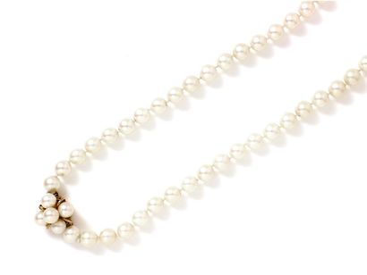 null Long necklace composed of a row of cultured pearls of about 6.9 to 7.3 mm. It...