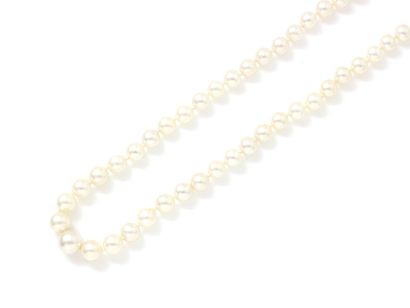 null Necklace made up of a fall of pearls of culture of approximately 3.4 to 8 mm,...