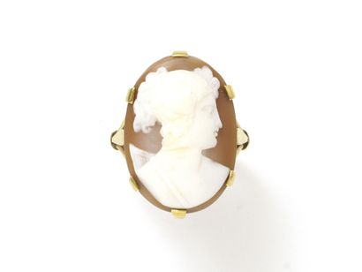null Gold ring 750 thousandth dressed with a cameo shell showing the right profile...
