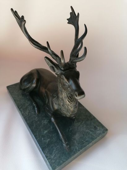 null School of the XXth century "Reclining stag" Bronze proof with brown patina on...