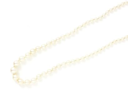 null Necklace composed of a drop of cultured pearl of about 3.7 to 8.1 mm. It is...