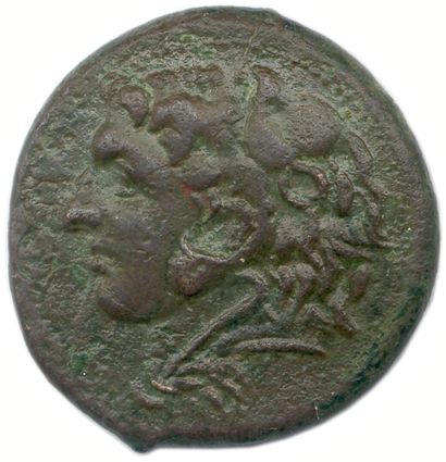 null SICILE - SYRACUSE époque du Pyrrhus 278-276 
Tête d'Héraklès à gauche, coiffée...