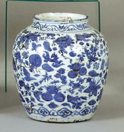 Chine Potiche en porcelaine décor en bleu et blanc d'insectes et motifs naturalistes...