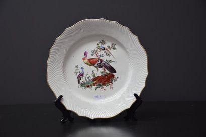 null PORCELAIN PLATE FROM TOURNAI 18 TH CENTURY POLYCHROME WITH A THOUSAND DIMENSIONS,...