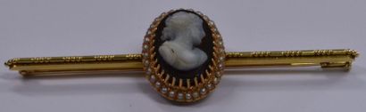 Yellow gold and cameo barrette surrounded...