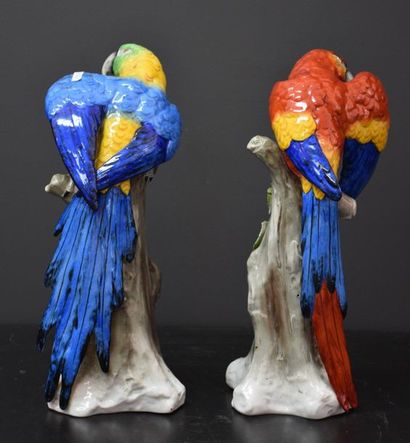 null Pair of parrots in German polychrome porcelain. Ht 31 cm .