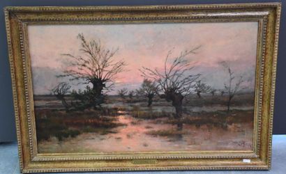 null Lucien Franck ( 1857-1920). "Sunset on the swamp", has a label for an exhibition...