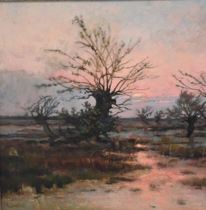null Lucien Franck ( 1857-1920). "Sunset on the swamp", has a label for an exhibition...