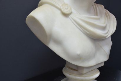 null Antonio FRILLI (c.1880-1920). Buste d'Apollon en marbre de carrare signé A....