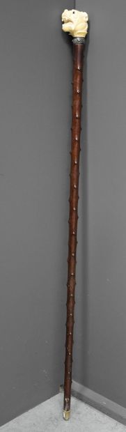 null Cane with ivory dog head.