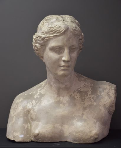 null Workshop plaster at the end of the 19th century representing the torso of the...
