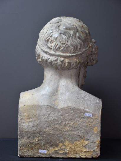 null Workshop plaster at the end of the 19th century. Antique bust representing Homer....