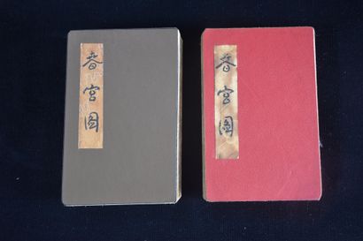 null Lot de deux recueils illustrés de scènes érotiques chinoises. Chine vers 19...