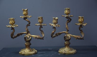 null A pair of ormolu candlesticks in rocaille style. French work around 1900. Height...
