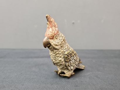 null Bronze of Vienna. Cockatoo. Height : 9 cm.