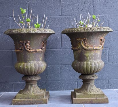 null Pair of Medicis vases in cast iron. Early 20th century. Beautiful patina of...