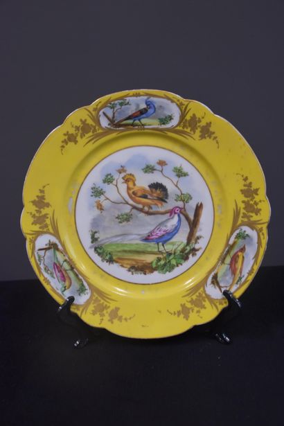 null Porcelaine de Sèvres : lot de 4 assiettes et deux ramequins sur fond jaune à...