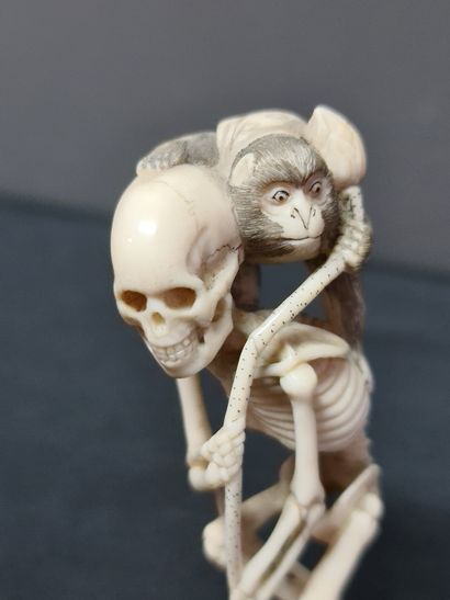 null Netsuké en ivoire du Japon XIX ème siècle, squelette et son singe surmontant...