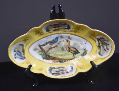 null 塞夫勒瓷器：一套4个盘子和两个ramekins，黄底，装饰着我国乡村的鸟类。