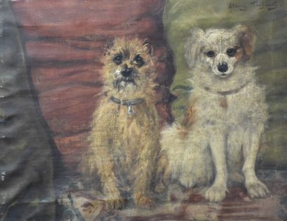 Albert Toefaerts (1856-1909). 阿尔伯特-托法尔茨（1856-1909）。几只狗。布面油画。尺寸：45 x 60厘米。