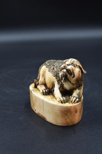 null 中国象牙雕刻的邮票，表现一只躺着的福狗，下面有铭文。长：9.5厘米，高：8厘米。