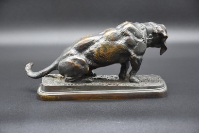 Alfred BARYE (1839-1895). 阿尔弗雷德-巴耶（1839-1895）。罕见的青铜腊肠犬，带有棕色阴影的古铜色。高度：13厘米。总长度：24...