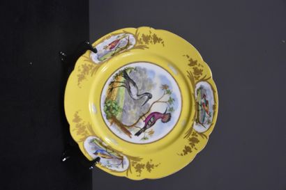 null 塞夫勒瓷器：一套4个盘子和两个ramekins，黄底，装饰着我国乡村的鸟类。 塞夫勒瓷器：一套4个盘子和两个ramekins，黄底，装饰着我国乡村的鸟...