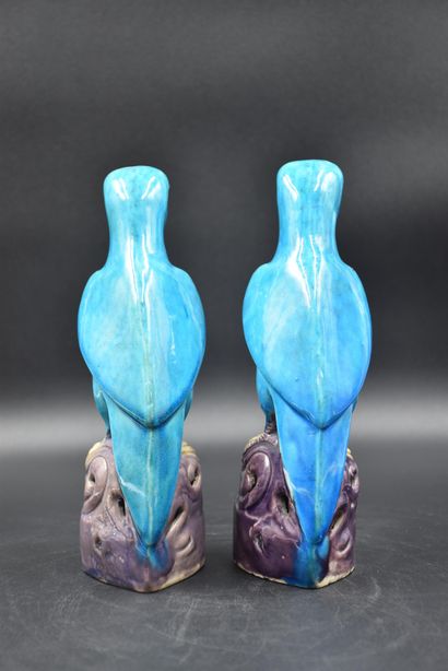 null Pair of turquoise ceramic parrots. China 19th century. Height : 24 cm.