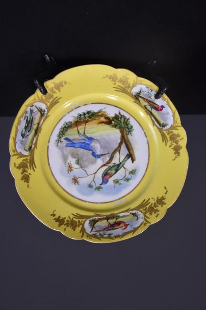 null Porcelaine de Sèvres : lot de 4 assiettes et deux ramequins sur fond jaune à...