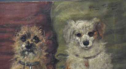 Albert Toefaerts (1856-1909). Albert TOEFAERTS (1856-1909). Couple de chiens. Huile...