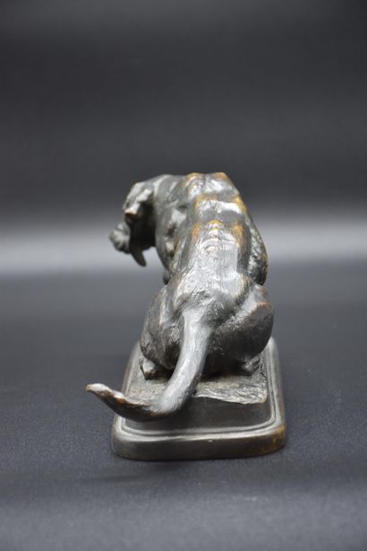 Alfred BARYE (1839-1895). 阿尔弗雷德-巴耶（1839-1895）。罕见的青铜腊肠犬，带有棕色阴影的古铜色。高度：13厘米。总长度：24...