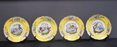 null 塞夫勒瓷器：一套4个盘子和两个ramekins，黄底，装饰着我国乡村的鸟类。 塞夫勒瓷器：一套4个盘子和两个ramekins，黄底，装饰着我国乡村的鸟...
