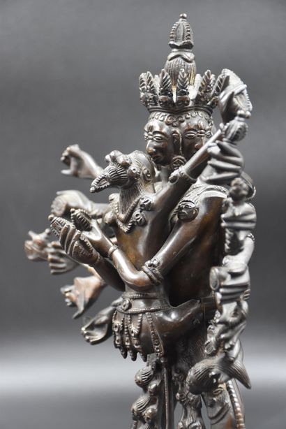 null Chine/Tibet fin XIX/début XXème. Divinité en bronze. Ht : 32 cm.