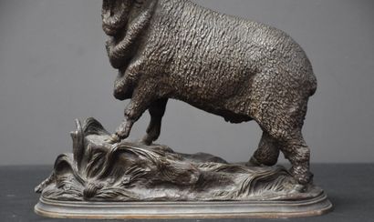 Jules MOIGNIEZ (1835-1894). Jules MOIGNIEZ (1835-1894). Woolly ram in bronze. Height...